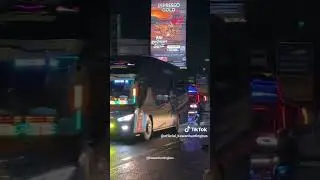 asik bener basuri apt dalacutes