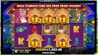 The Dog House Mega Win 5&euro;