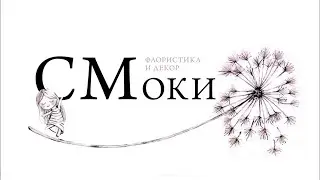 Нарцисс