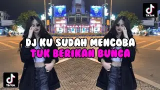 DJ ku sudah mencoba tuk berikan bunga | orang yang salah | DJ adizo