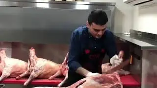 Gzar ha9i9i