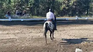 Andy WD Training Test1