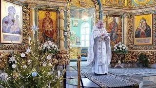 Проповедь в праздник Собора Пресвятой Богородицы 
