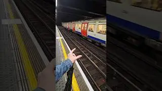 rats big as cats dominate London Tube Taylor Swift #shorts #funny #travel #gym #review #explore