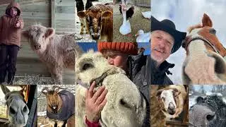 Unity Farm Sanctuary February Winter 2025 1080p