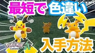 【ポケモンZA】オヤブンも可能！色違いピカチュウの簡単な入手方法を解説！メガライチュウに備えてゲットしておこう！