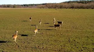 RAFTER DV RANCH 372 Acres Stephens Co TX