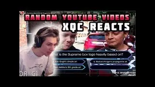 xQc Reacts To Random YouTube Videos