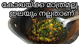 കോവലിന്റ ഇല തോരൻ||ഇല തോരൻ||kovakka ila thoran keralarecipe||chrunyavlogs