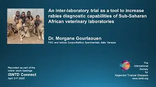 ISNTD Connect: Increasing rabies diagnostic capabilities of Sub-Saharan African veterinary labs
