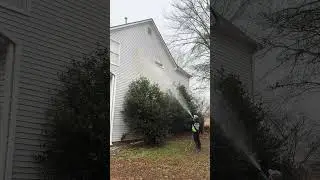 Another home brought back to life! #pressurewashing #softwashing #housewashing #softwash