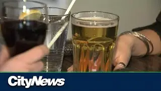 Wine and beer sales record all-time low in Canada