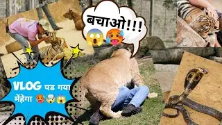 #vlog पड गया मेंहेगा 😱🤯🥵 | Rajiv Gandhi Zoological Park | vlog #wild | vlog wildlife