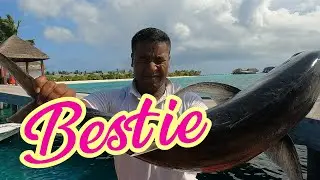 Catching line fish Maldivan style / Line reef Fishing in Maldives /Big Fish Battles:
