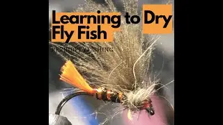Learning to Dry Fly Fish (Vlog)