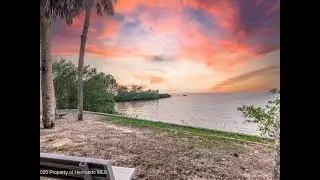 Dalton Wade Real Estate Group - 10516 Pine Island Drive