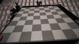 DGT CENTAUR chess computer.  You can exfoliate the foil on the back of each piece
