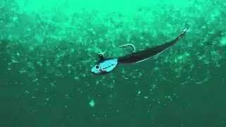 IMPULSE&reg;  Mini Smelt Minnow