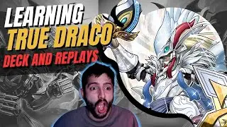 True Draco Deck Profile | Yu-Gi-Oh! MASTER DUEL True Draco REPLAYS