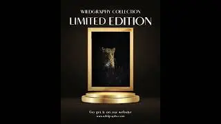 wildgraphy premium art collection