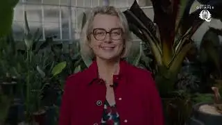 Voeux 2026, Isabelle ASSIH, Maire de Quimper