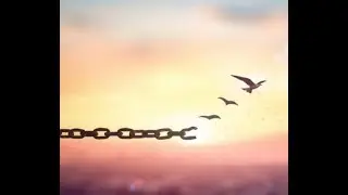 The Nature Of Forgiveness - Pleiadian Message To Awaken Your True Purpose And Power(message 23)