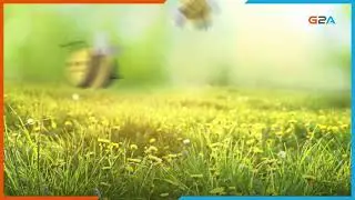 PGE Nowy Poziom PLE | CS2