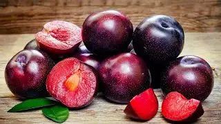 Fruit Farming l Satisfying l Relaxing l Nature Video l फल। खेती । गार्डनिंग।