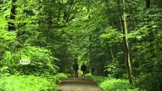 KRO De Wandeling: Helden van Oranje - Promo Giovanni van Bronckhorst