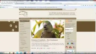 Niche Profit Classroom