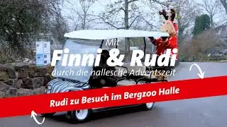 Finni & Rudi | Rudi zu Besuch im Bergzoo Halle