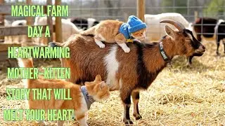Luna & Sunny&rsquo;s Magical Farm Day &mdash; A Heartwarming Mother&ndash;Kitten Story That Will Melt Your Heart!