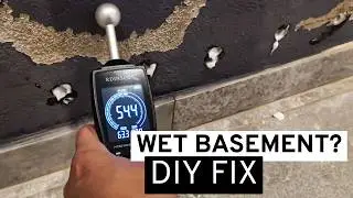 Dry Your Basement Walls: Injection Cream DIY Guide