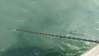 How To Read Anchor Chain Leading Position