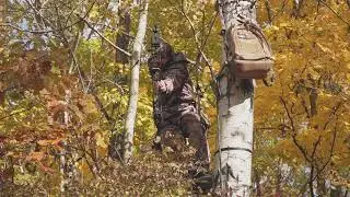 2020 Gearhead Archery Disrupter