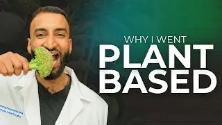 How Going Plant Based Transformed My Life | Health, Energy & Compassion