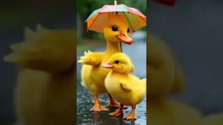 sweet duck and little duck dancing at road #duckstory #duck #shortvideo