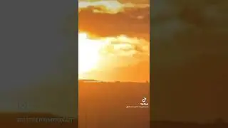 Flying Cryptid in the UK??