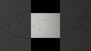 how to draw hilsa fish#shorts #viral #howtpdraw#fish
