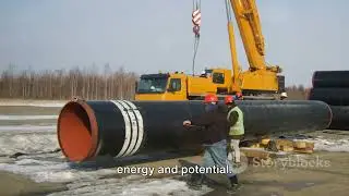 NEPRA decision and New Bagasse Power Plants in Pakistan
