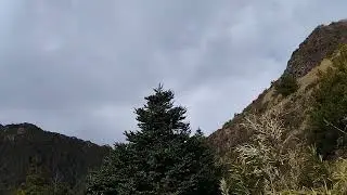 VID 20241227 110807