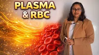 Human Circulatory System | RBC, Plasma & Functions | RBSE Lab Assistant | All Competitive Exams