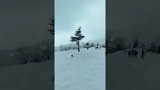 #Bir Billing #Snowfall #Himachal Pradesh