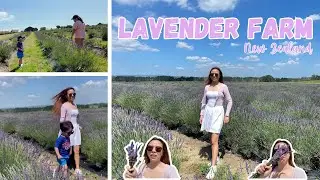 CCT LAVENDER FARM | Kate Obsekyu