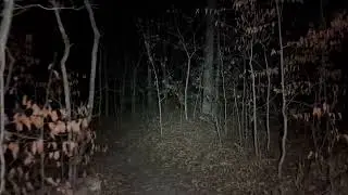 SOLO NIGHT HIKE || Appalachian Mountains (3 HOURS)
