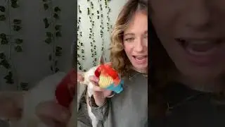 #dog #dogowners #doglovers #dogtoy