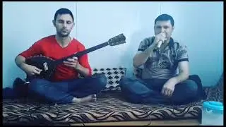 ١٣ ديسمبر ٢٠٢٥