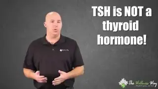 Thyroid Stimulating Hormone (TSH) | The Wellness Way Lab Series