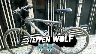 Introducing my new Steppenwolf🐺🐺 cycle😍😍