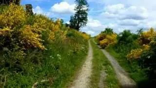 Wandern auf demFranziskusweg in K&uuml;ckelheim